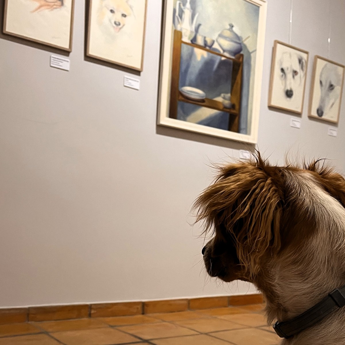 25-abr-25: Cuatro miradas